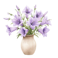 A Clustered Bellflower In A Vase, watercolor drawing vector, isolated on a white background.