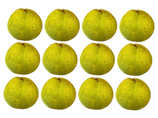 Pomelo – Large Tropical Citrus with Thick Green Skin