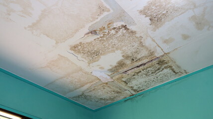 Mold and water damage on ceiling caused by roof leakage in a house