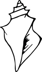 Illustration of seashell drawing vector illustration of a conch shell outline perfect for summer beach and ocean designs vector