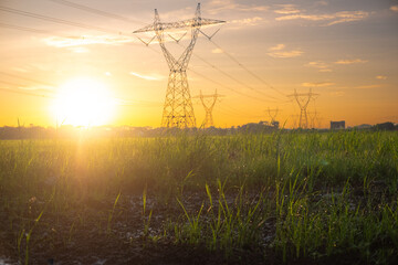 Golden Hour Sunset Over Rice Paddy Field with Power Lines