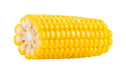 Yellow corn cobs, vibrant kernels, fresh sweet corn, agricultural produce, closeup photography, white background, bright lighting, crisp details, food photography, farm-fresh vegetables, golden yellow