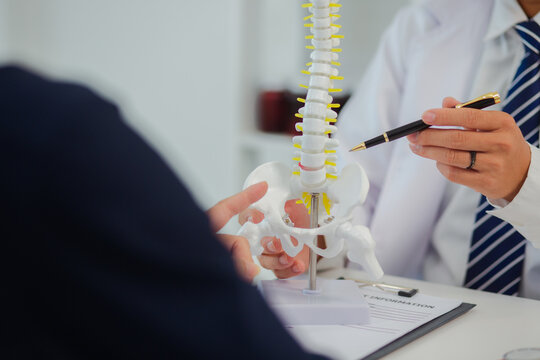 An orthopedic doctor shows a spinal model to a patient in a human spinal hospital. Diseases and disorders of the spinal cord, back pain, lumbar pain, orthopedic surgery, chiropractic, office syndrome