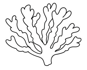 Obraz premium Intricate Line Drawing of Seaweed A Botanical Illustration