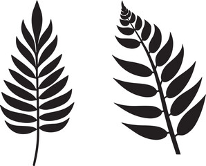 Fern leaf silhouette vector 