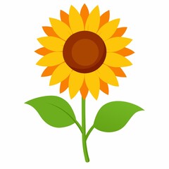 Simple sunflower illustration isolated on white background