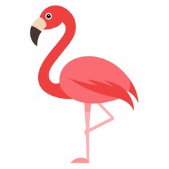 Pink flamingo cartoon illustration isolated on white background