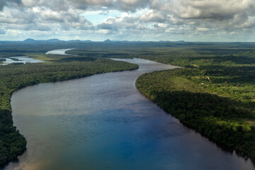 Aerial view of the jungle and Amazon River with its lush vegetation and the intensity of the tropical colors. An amazing landscape