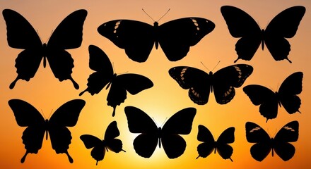 Fototapeta premium Collection of black butterfly silhouettes against a warm sunset sky
