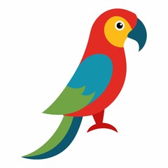 Colorful parrot illustration isolated on white background
