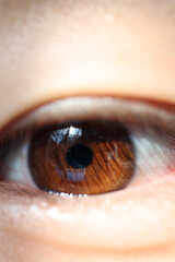 A close up photo of brown eyes