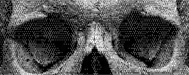 Exploring the intricate art of ASCII representation with a focus on a stylized skull design