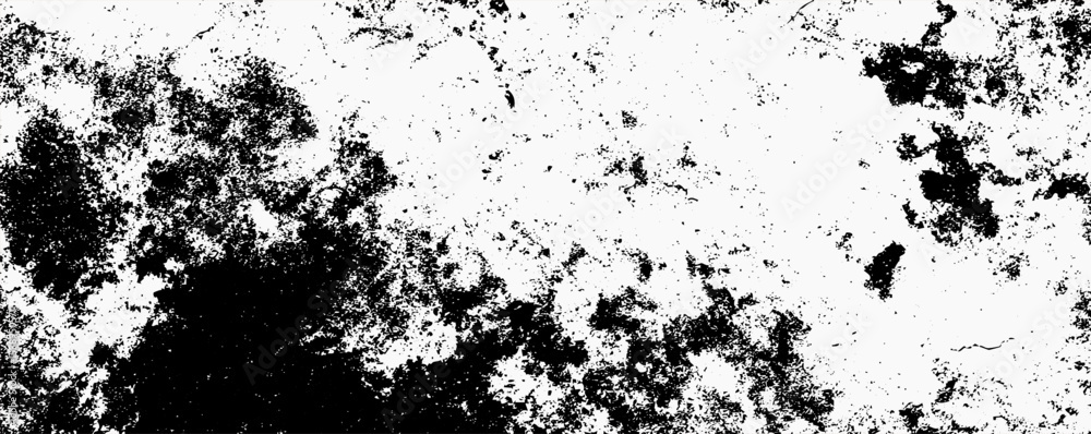 Poster Black and white abstract texture showcasing intricate patterns and contrasts found in nature's raw elements and geological formations