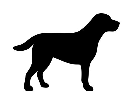 abrador Retriever Standing Silhouette - Solid White Background