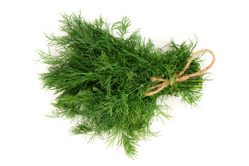 Dill Bouquet Tied With Twine, isolated on white background