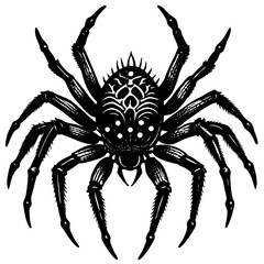 black spider isolated on white background