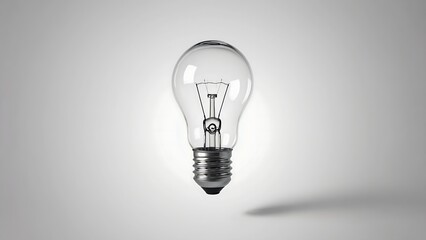 A single incandescent light bulb, clear glass, metallic base, against a plain light gray background.