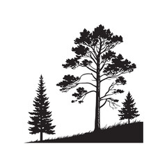 Obraz premium Silhouette of a Forest Scene with Tall Trees