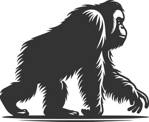 Vector illustration of a orangutan animal drawing silhouette
