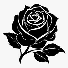 black-rose-white-background (1).eps