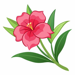 A beautiful pink lily flower with delicate petals blossoms in full bloom, isolated on a clean white background