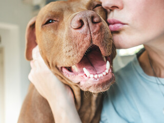 Cute woman hugging a lovely dog. Dog smiling. Close up, indoor. Sunny day. Daylight. Concept of...