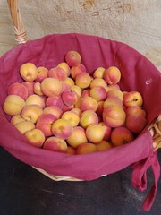 Apricot Fruit in Wicker Basket