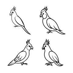 MACOW vector birds