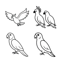 MACOW VECTOR