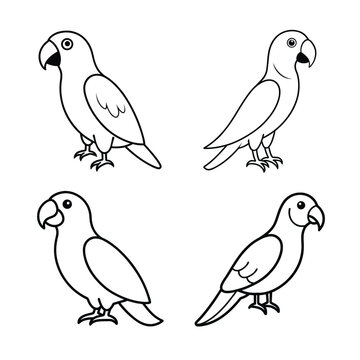 MACOW VECTOR