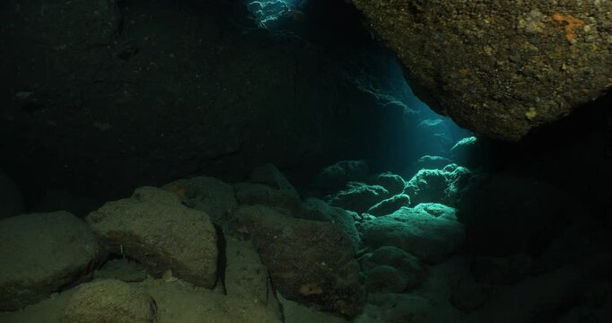 pempheris fish in cave underwater moving with waves underwater close up with sun beams and rays
