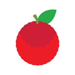 Delicious lychee fruit with red skin Vector illustration on white background