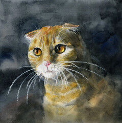 Ginger Scottish Fold cat portrait on dark background. Whimsical watercolor painting with golden details (whiskers, eyes). Folded ears, expressive face. Isolated, front view