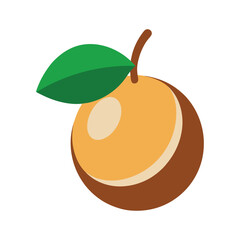 Fresh ripe longan fruit in tropical style Vector illustration on white background