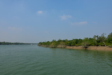 biodiversity of Sundarbans, characterized by its vast mangrove forests, a network of waterways, and...
