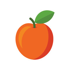 Fresh nectarine fruit with inner seed Vector illustration on white background