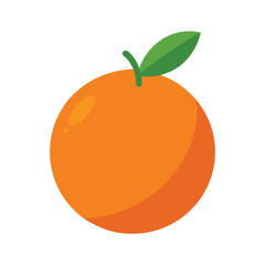 Bright orange citrus fruit slice Vector illustration on white background