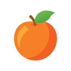 Juicy peach with pit half cut Vector illustration on white background