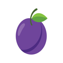 Plum fruit with deep purple color Vector illustration on white background
