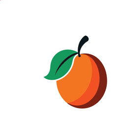 Santol fruit cut open in halves Vector illustration on white background