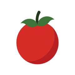 Tamarillo tropical fruit slice view Vector illustration on white background