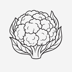 Minimalist cauliflower icon, clean single-line art. Simple, bold outline of a cauliflower head, abstract and geometric. Consistent line weight, no internal details. Centered, isolated on a white backg