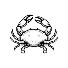 Crab icon isolated on white background. Design elements for logo, label, emblem, sign. Vector illustration