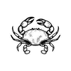 Crab icon isolated on white background. Design elements for logo, label, emblem, sign. Vector illustration