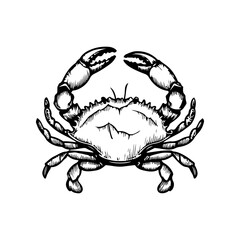 Crab icon isolated on white background. Design elements for logo, label, emblem, sign. Vector illustration