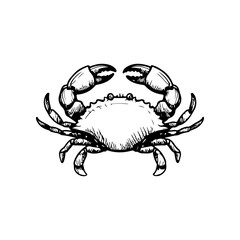 Crab icon isolated on white background. Design elements for logo, label, emblem, sign. Vector illustration