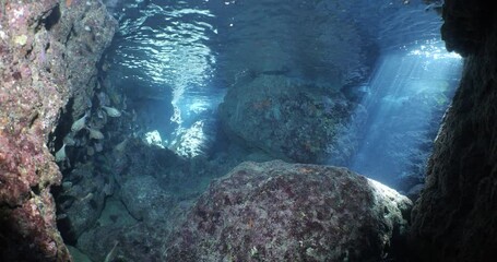 cave diving underwater exploring caves with fish ocean scenery sun beams and rays background scuba divers to explore