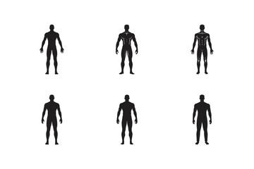 male human body belonging to an adult man vector silhouette