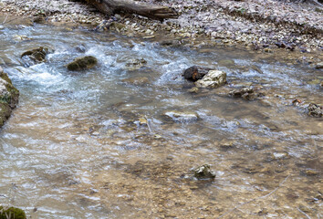 streambed, with muddy water in the spring period of the year during snowmelt