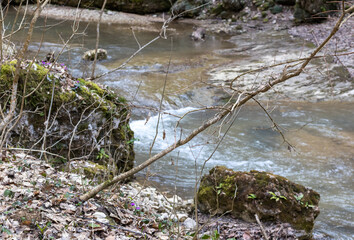 streambed, with muddy water in the spring period of the year during snowmelt